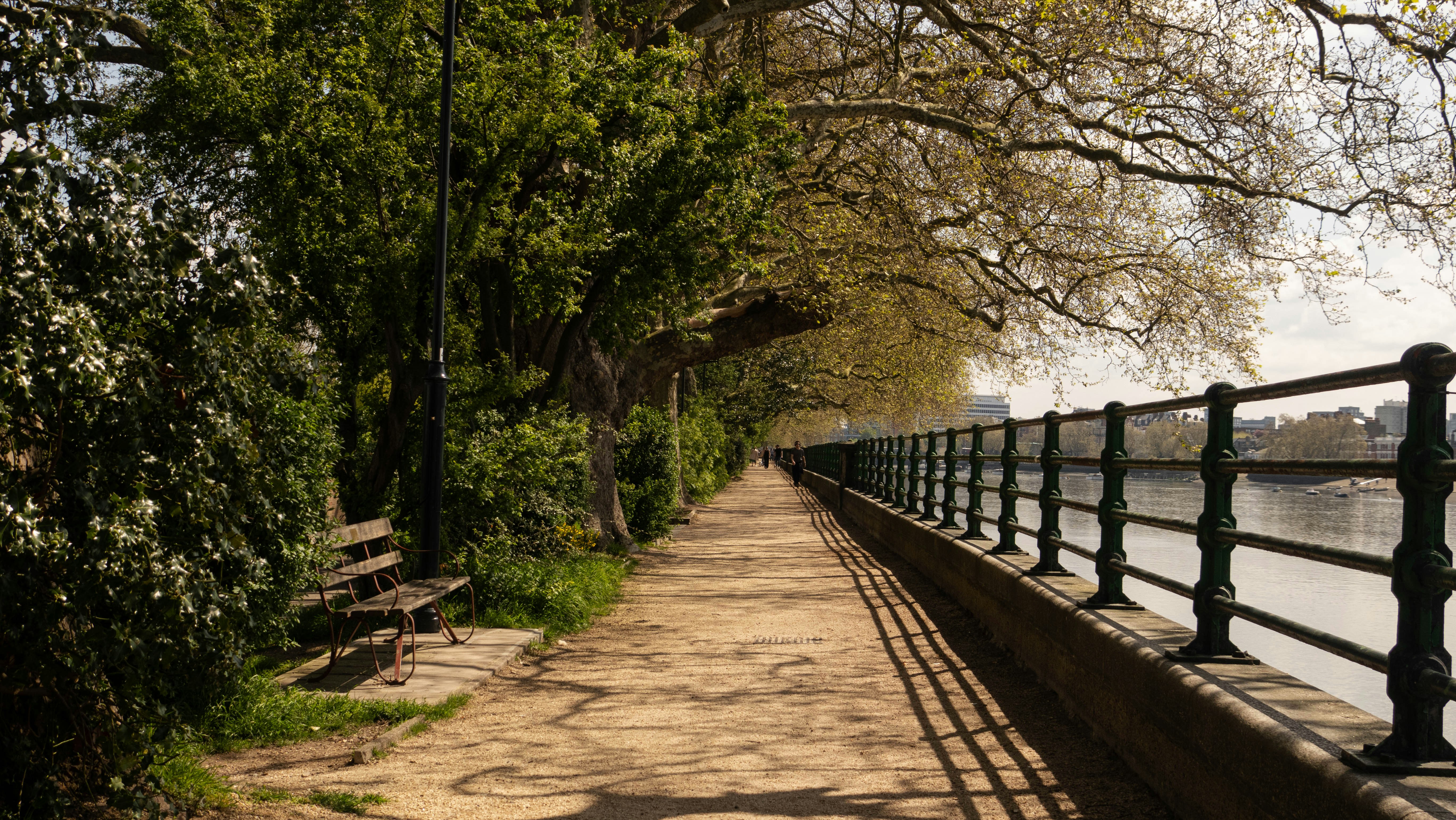 Fulham Area Spotlight